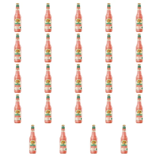 1773271237360-5406-2-x24-ha48xl.png