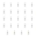 'Wódka Żubrówka Biała z nutą Mięty 200 ml 37,5% X24