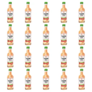 'Żołądkowa Gorzka Arbuz z limonką 28% 200ml X20