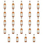 'Piwo Bitburger Premium Pils 4,8% 330 ml butelka bezwrotna X24