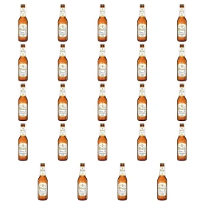 'Piwo Bitburger Premium Pils 4,8% 330 ml butelka bezwrotna X24