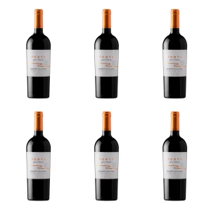 'Porta Gran Reserva Cabernet Sauvignon red dry 14% 750 ml X6
