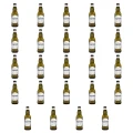 1773271327266-5520-2-x24-6d3d6.png