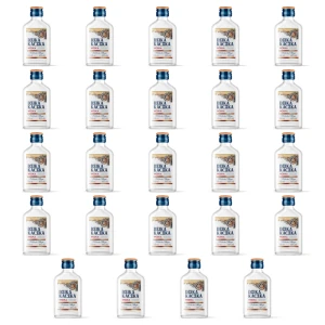 'Wódka Dzika Kaczka 40% 100ml X24