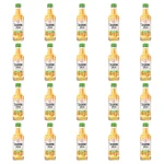 'Żołądkowa Gorzka Mango & Melon 28% 200ml X20