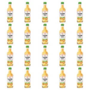 'Żołądkowa Gorzka Mango & Melon 28% 200ml X20