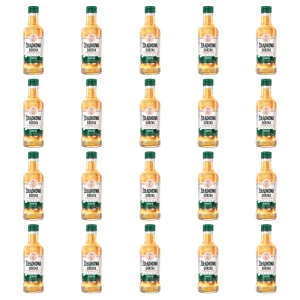 'Żołądkowa Gorzka z Miętą 200ml 28% X20