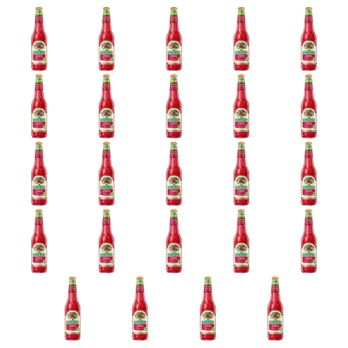 1773271521362-5769-2-x24-55z4k.png