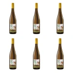 'Matylda Muller Riesling white semi dry 0,75L X6