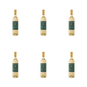 'Benvenuto Pinot Grigio Włochy Białe Wino Półwytrawne 750 ml X6