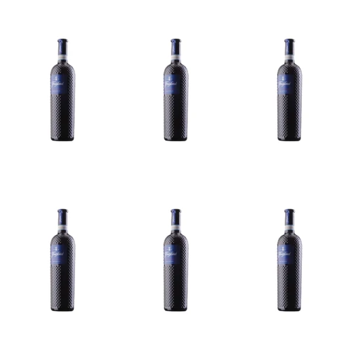 1773271614693-5883-2-x6-axyotl.png