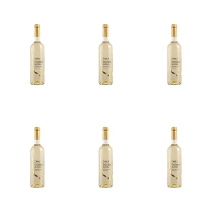 'Białe, półwytrawne chilijskie wino Tierra Aufera 750 ml X6