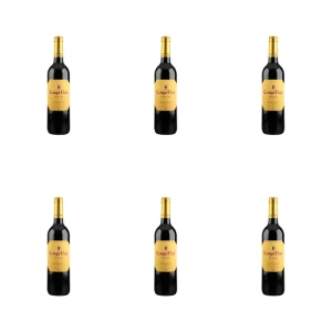 'Wino Campo Viejo Tempranillo 750 ml X6