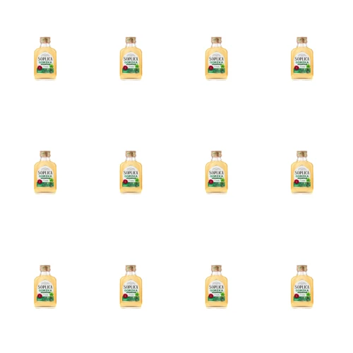 1773271761733-6062-2-x12-inwh1i5.png