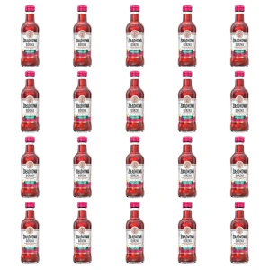'Żołądkowa Gorzka Malina & Mięta z Cytryną 200ml 28% X20