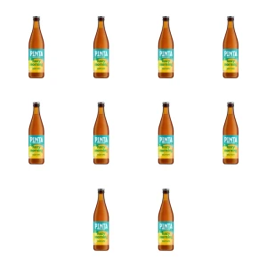 'Piwo PINTA Hazy Morning butelka bezzwrotna 0,5L X10