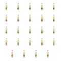 1773271870939-6203-2-x24-9pil2.png