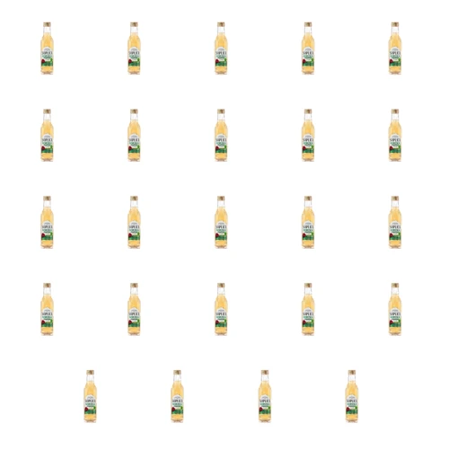 1773271870939-6203-2-x24-9pil2.png