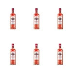 'Martini Rosato 1,0l 14.5% X6