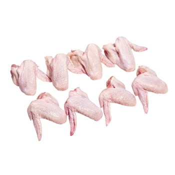 Mięso Skrzydło z kurczaka Mięsne Specjały 1 kg 76.jpg