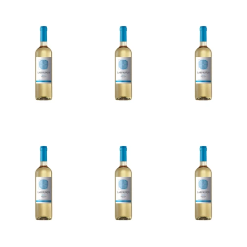 1773274553696-10007-2-x6-luprr.png
