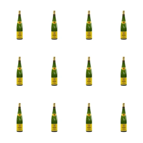 1773274558866-10017-2-x12-53nm1d.png