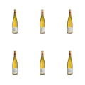 1773274559322-10018-2-x6-8f1hj.png