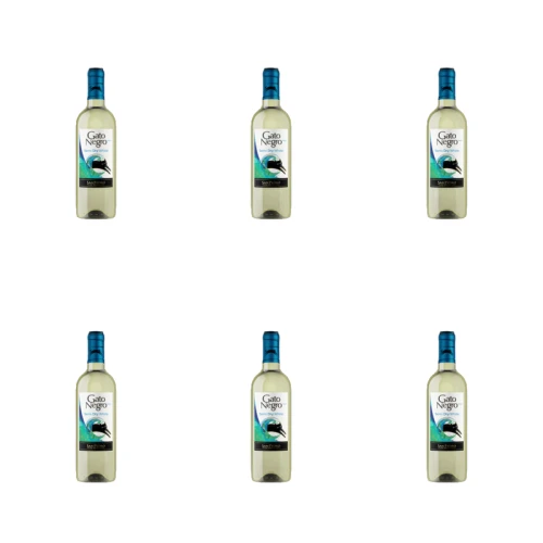 1773274561698-10023-2-x6-fpzcki.png