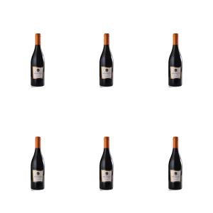 'Wino Contessa Carola Appassimento 750ml X6