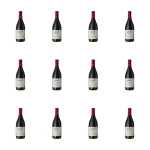 'Shell Segal Red Wino Czerwone Wytrawne 11,5% 0,75l X12