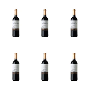 'MOLINA Carmenere czerwone wytrawne 750ml X6