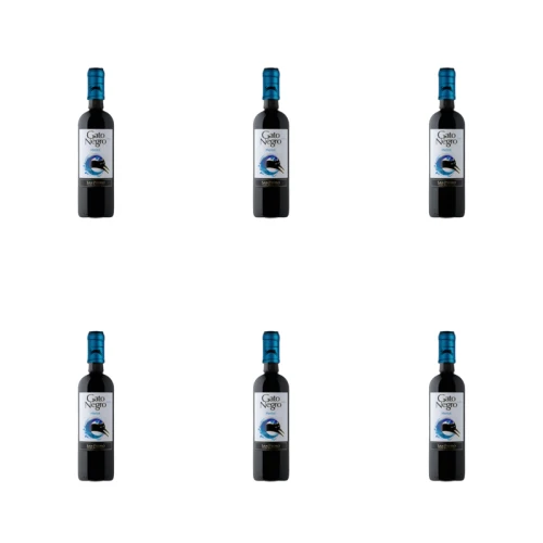 1773274580018-10052-2-x6-p4vh8v.png