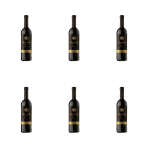 'Pena Tejo Reserva Dry 0,75L X6