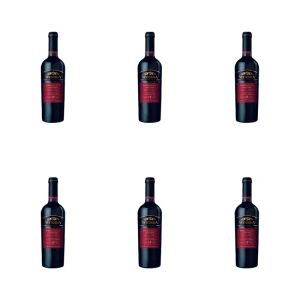 'Witosha Sweet Red Dessert Wine 0,75l X6