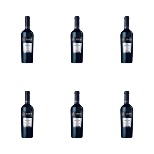 1773274589891-10067-2-x6-t4g9fp.png