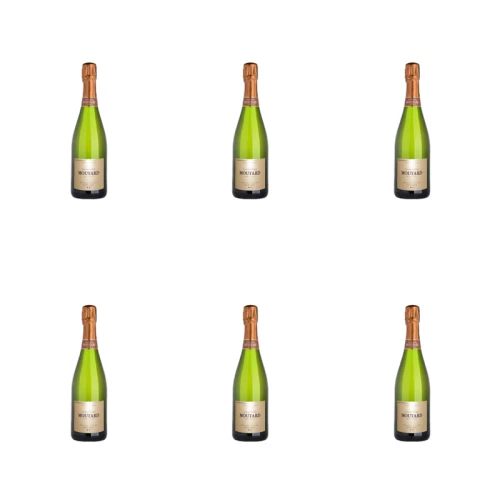 1773274605144-10090-2-x6-qd1x26.png