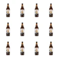 1773274609798-10098-2-x12-2cwwx7.png