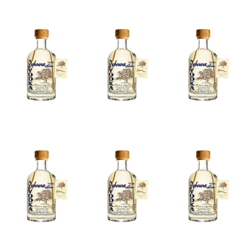 1773274669855-10176-2-x6-gdz8ss.png