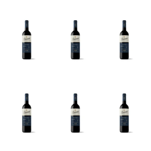 1773274982421-10637-2-x6-unokga.png