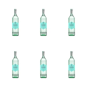 'Gin Bloom 40% 700 ml X6