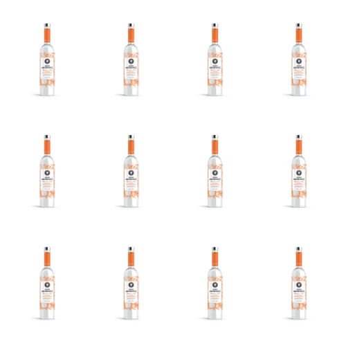 1773275169004-10899-2-x12-1uh244.png