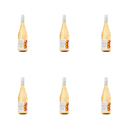1773275270793-11052-2-x6-3vmbd.png