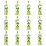 'Lubelska Konopie Siewne z Limonką i Miętą 25% 500ml X12