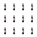 1773275404802-11262-2-x12-bpofg.png