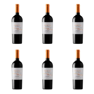 'Porta Gran Reserva Carmenere red dry 14% 750 ml X6