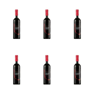 'Czerwone, półwytrawne chilijskie wino Tierra Aufera 750 ml X6