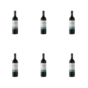 'Trapiche Vineyards Malbec 0,75 13,5% X6