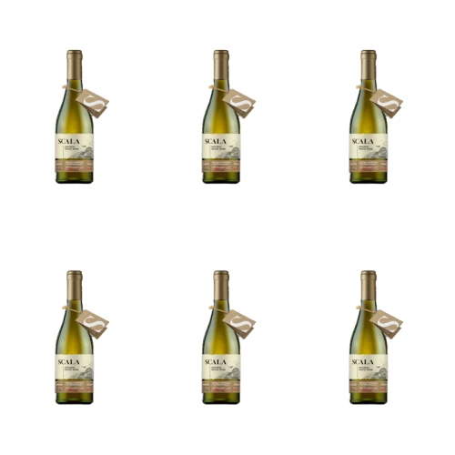 1773275609679-11547-2-x6-bnh15d.png