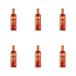 'Martini Fiero 1l 14,5% X6