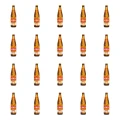 1773276136662-12266-2-x20-ixtsn.png